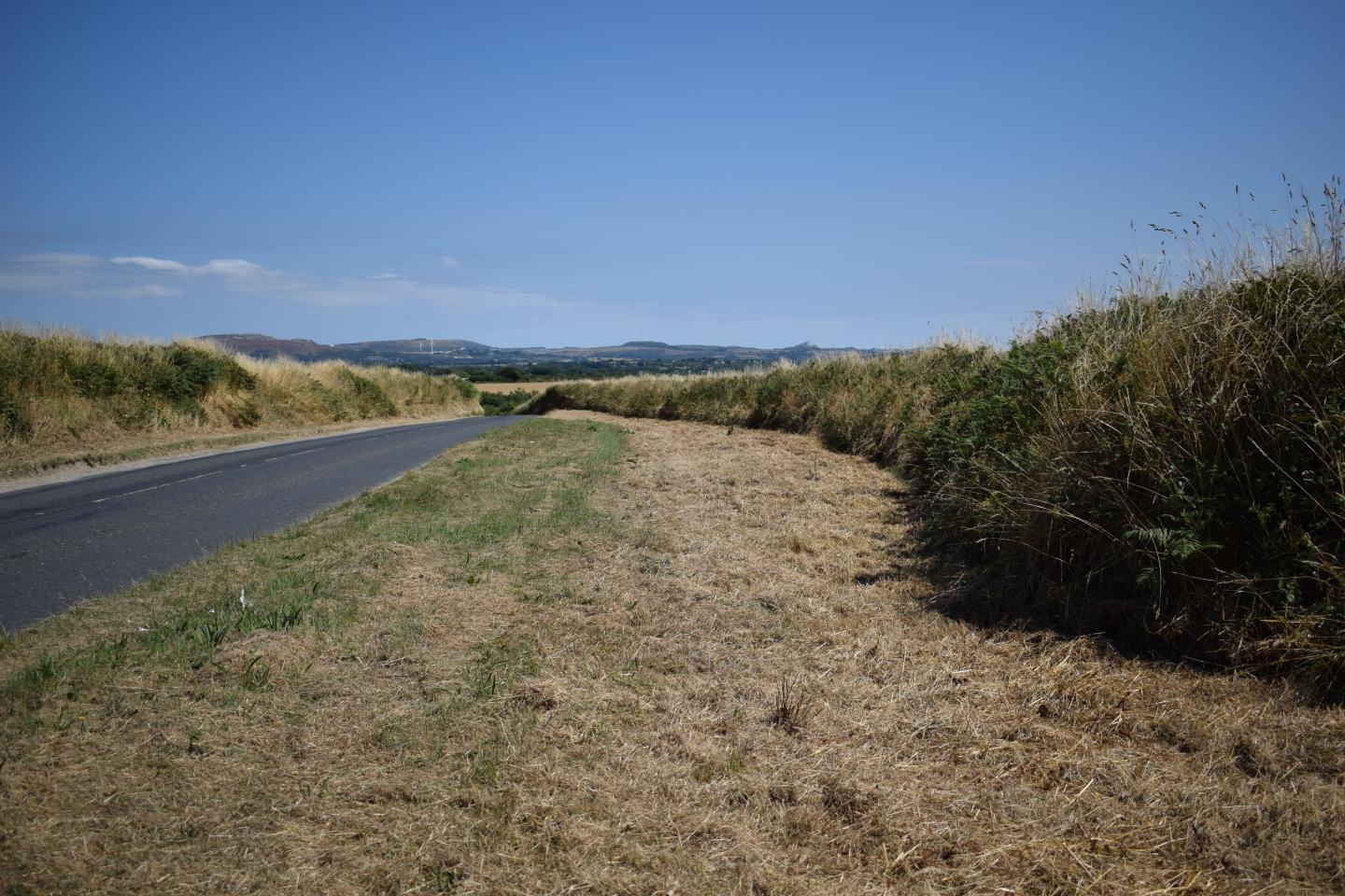 Road verge