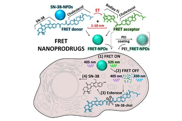 Further Details Revealed About a Highly-efficient Anticancer Drug Delivery System