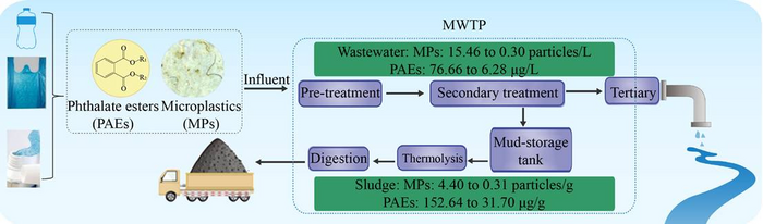 Unaccounted Microplastics in Wastewater Sludge: Where Do They Go