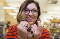 Study of a Pregnant Cockroach Paves a New Direction in Genetics Research