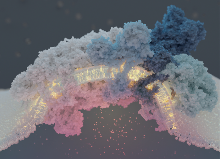 The complete respiratory supercomplex