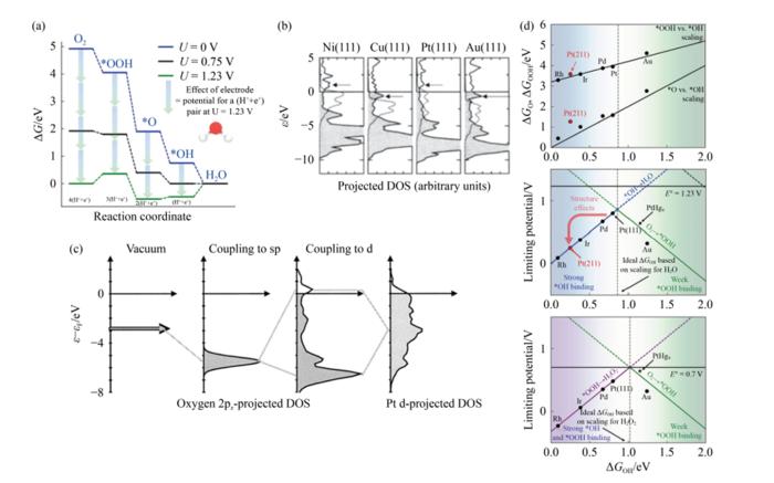 Fundamental explanation of strain effects on oxygen reduction reaction (ORR)