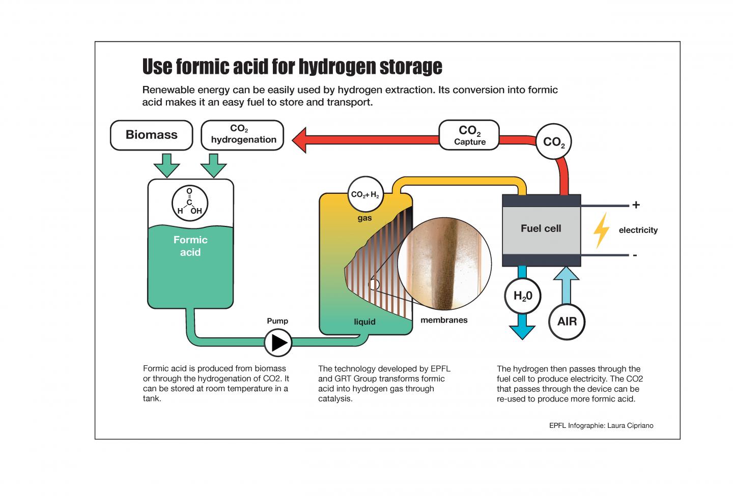 Infographic of Formic Acid Storage