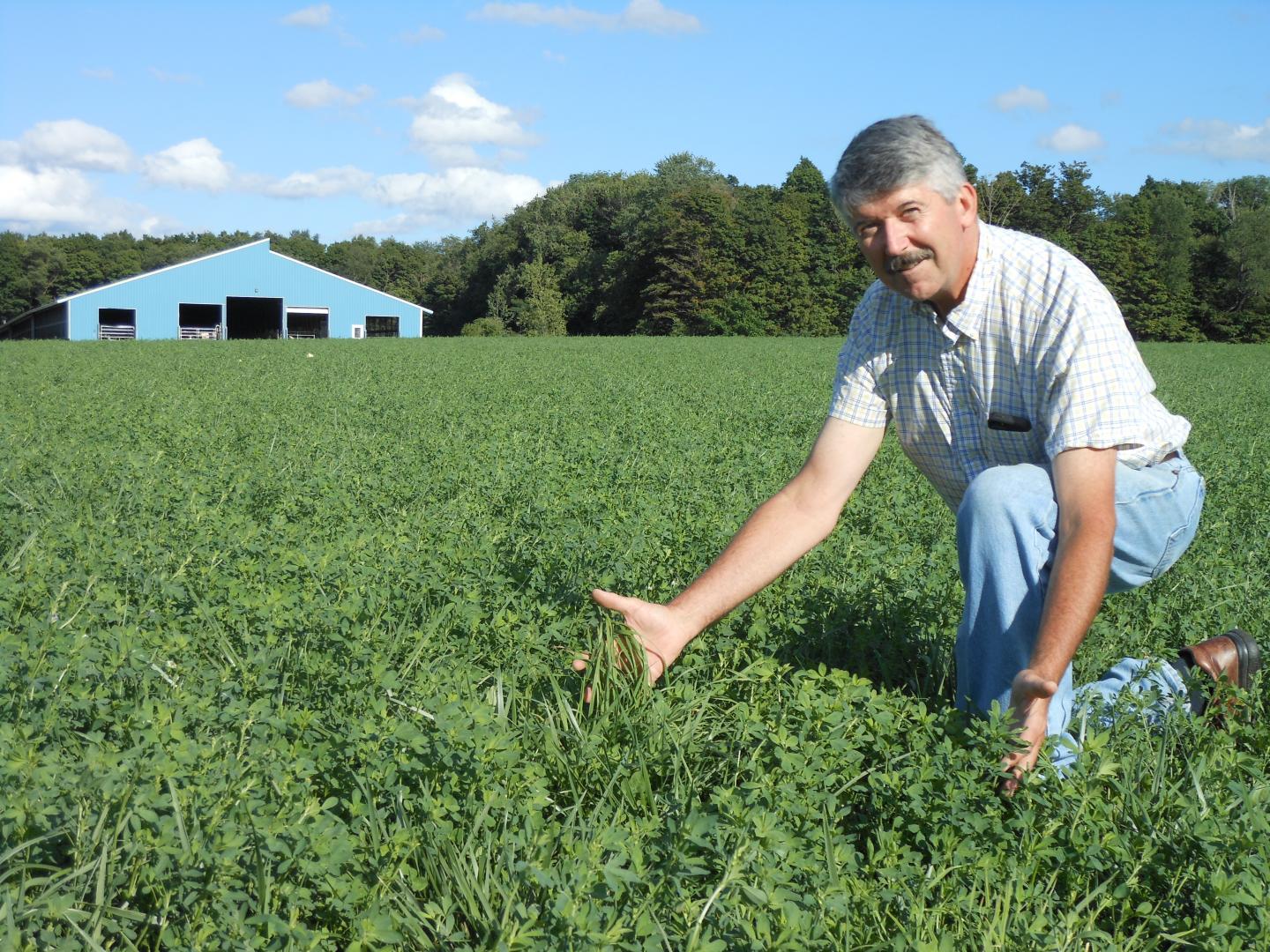 Paddock in Forage Field