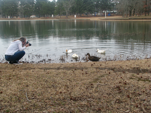Photographing birds in a park.