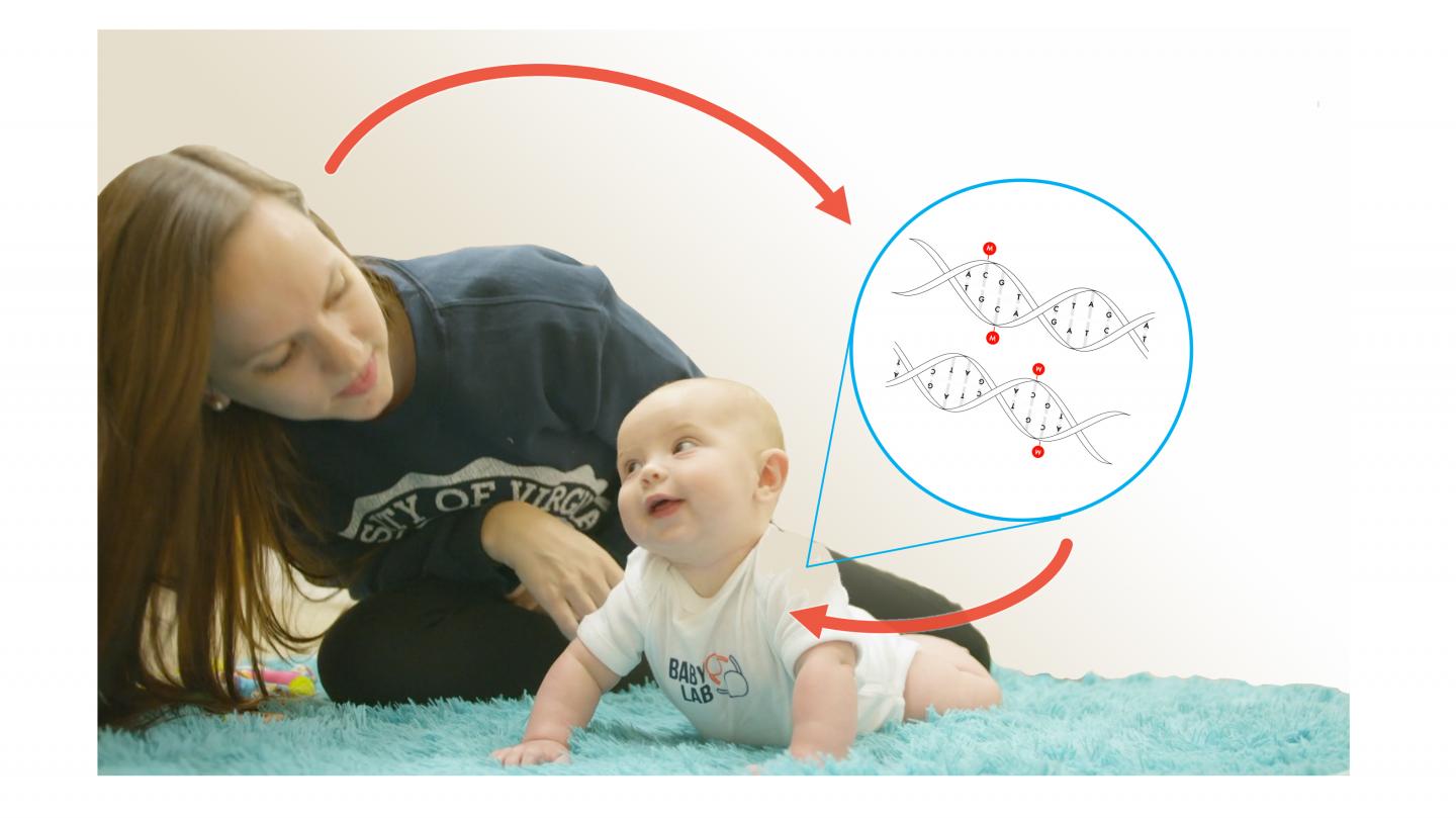 Parent-Child Interactions May Regulate a Change to the Oxytocin System Associated with Infant Temperament (3 of 5)