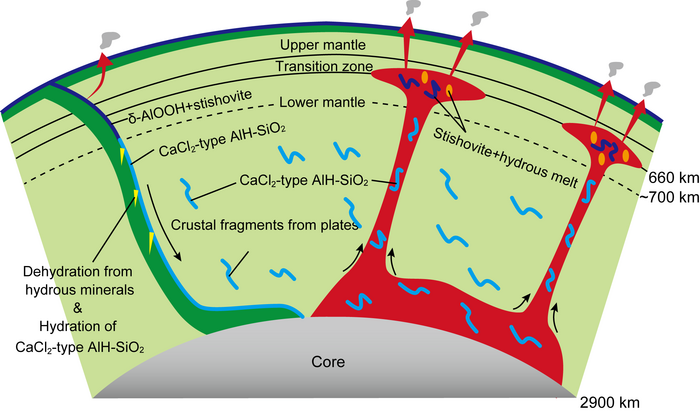 Mantle convection including water by hydrous aluminous silicas.