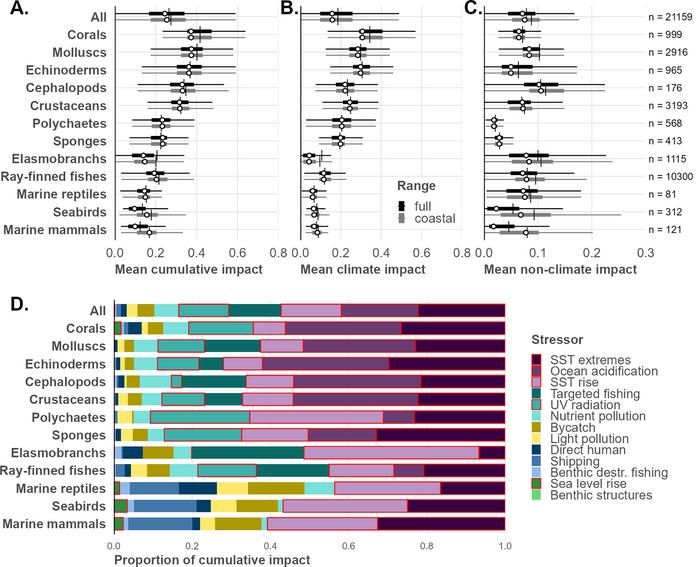 Cumulative human impacts on global marine fauna highlight risk to biological and functional diversity