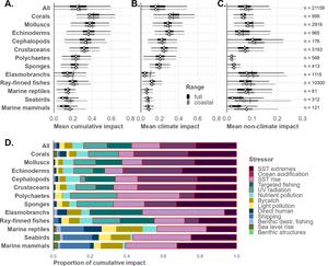 Cumulative human impacts on global marine fauna highlight risk to biological and functional diversity