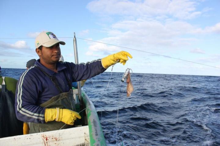 Gianuca Projeto Albatroz