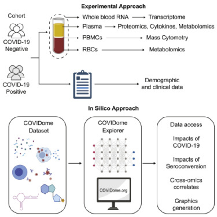 COVIDome Explorer Graphical Abstract
