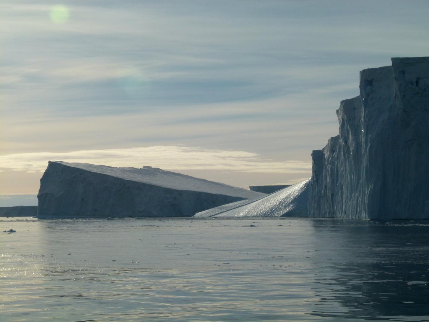 Icebergs in Pine Island Bay