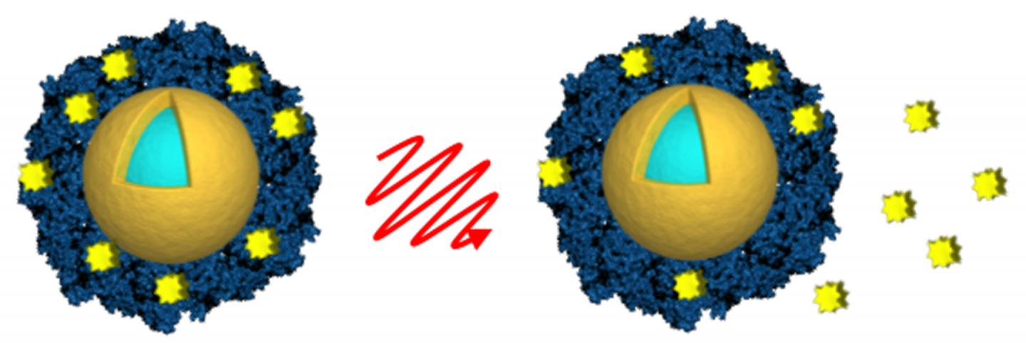 Light-activated Nanoshells