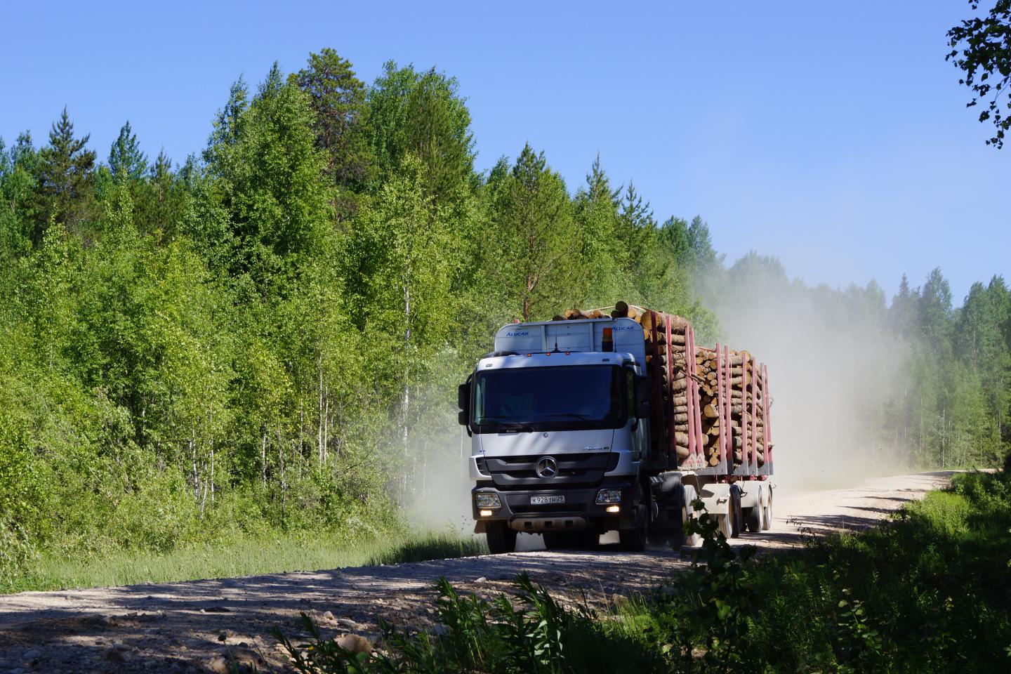 Global Map of Roadless Areas Reveals Roads Fragmenting Majority of Land (5 of 8)