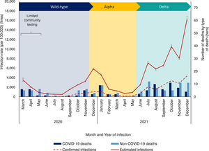 Investigating COVID-19 deaths for children and young people