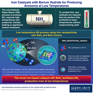 Iron Catalysts with Barium Hydride for Producing Ammonia at Low Temperatures