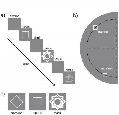 Training for Conscious Perception