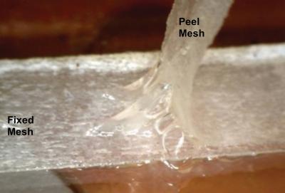 The Approach Used to Measure Mucus Cohesive Strength