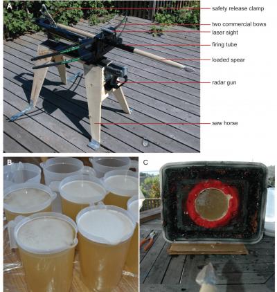 Calibrated Cross-Bow and Ballistics Media
