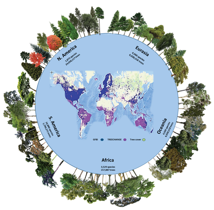 Tree species worldwide