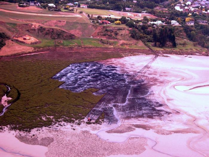 Mangrove removal in New Zealand