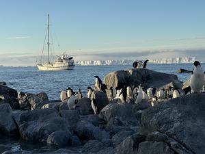 Image of the Australis sailing ship in Antarctica