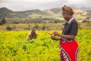 Benefits observed in human health chatgroups are also emerging in plant health, the scientists say