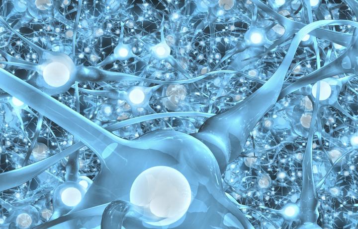 New Research Showing Why Hierarchy Exists Will Aid the Development of Artificial Intelligence