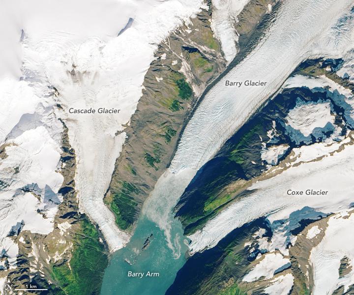 Barry Arm Glacier (2013)
