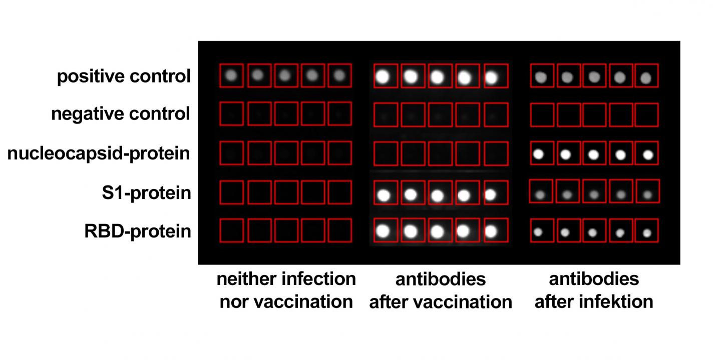 Immunological measurements