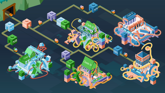 During evolution, different chromosome elements represented by the colored Lego bricks (NA, NB, NX..etc. in the figure) were added onto the ancestral sex chromosomes in different species, forming the great diversity of nematode sex chromosomes. These ��Lego�� combinations of chromosome elements are shown as corresponding colors for each ��clade�� of nematode species.