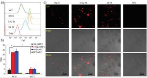 Determining the enhanced selective internalization ability of MFSX