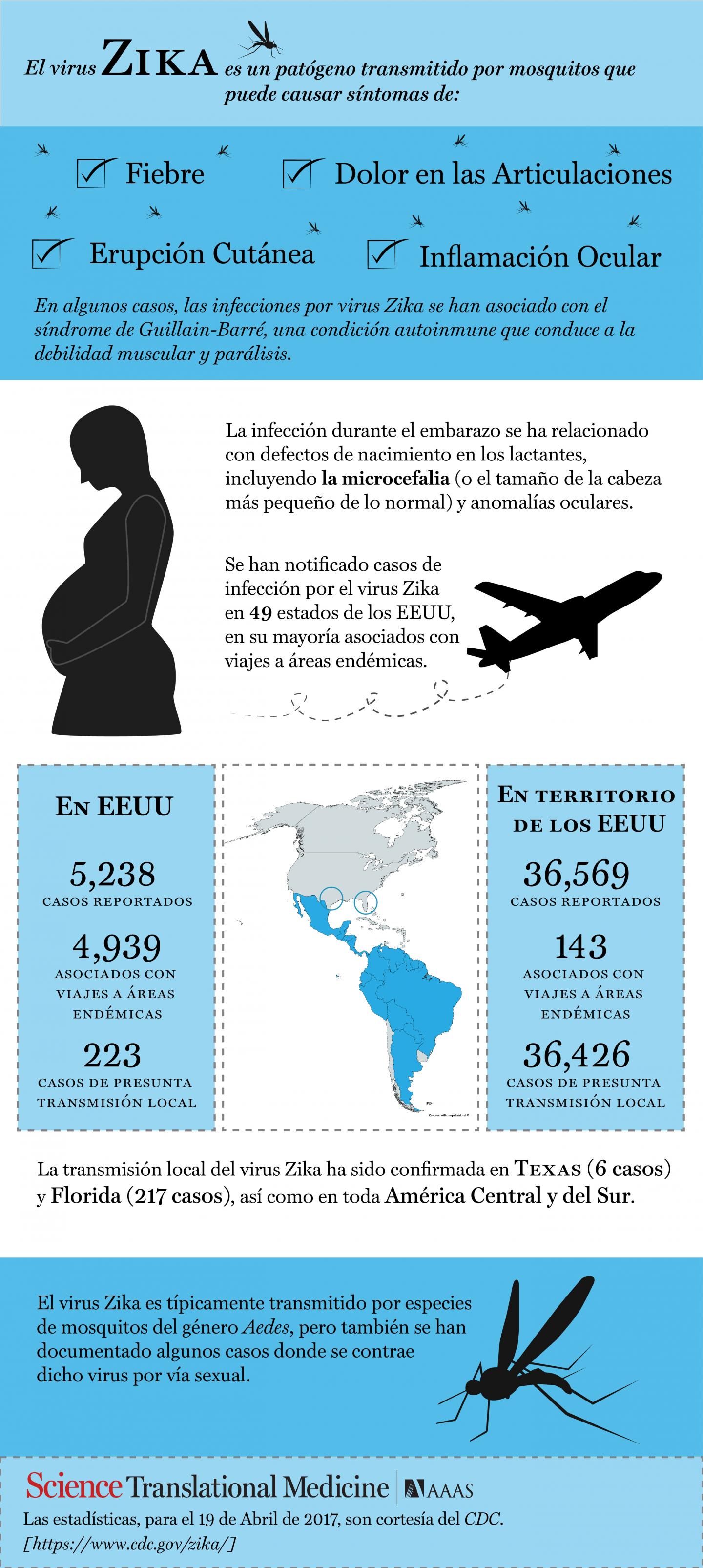 An Antibody Trio Protects Against Zika Virus (2 of 2)