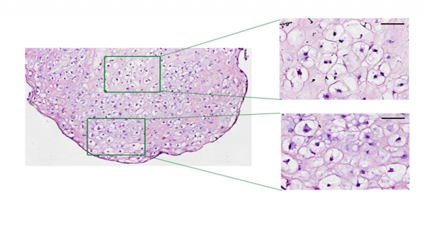 Back to the Beginning (1 of 2)