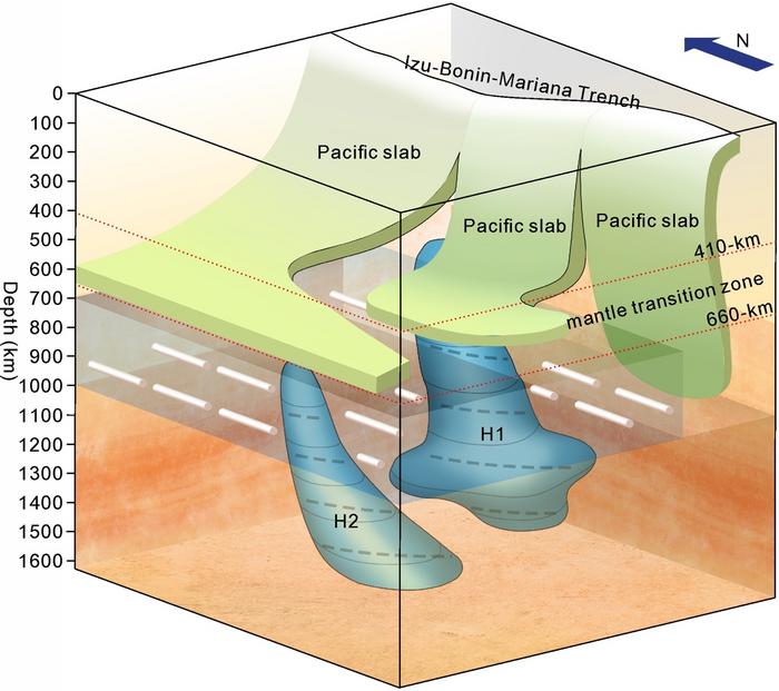 A schematic diagram showing remnants of the early Cenozoic Pacific lower mantle flow beneath the Philippine Sea Plate