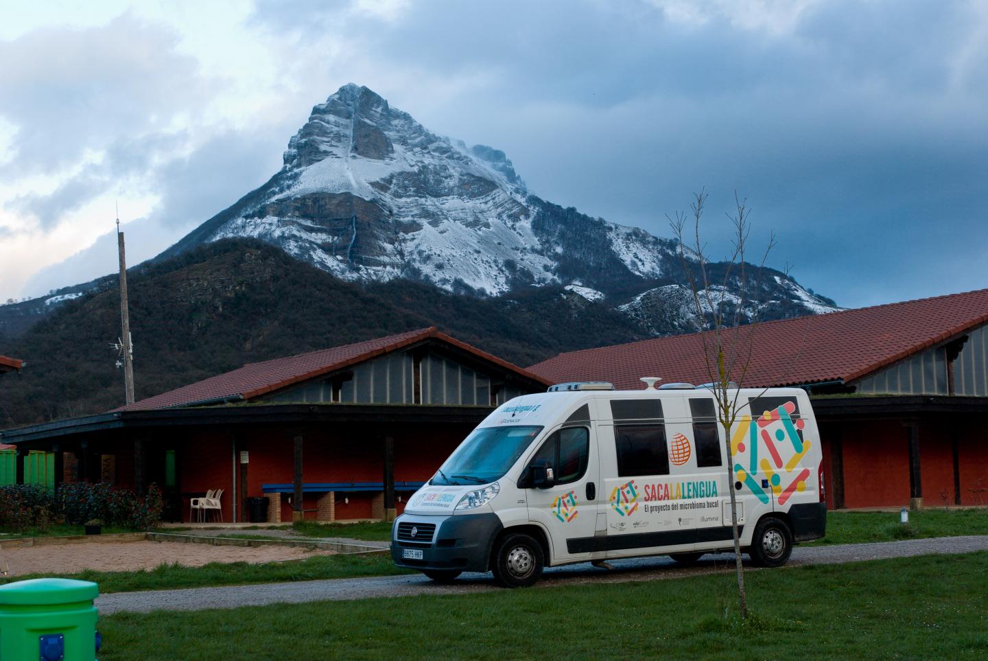 Stick Out Your Tongue