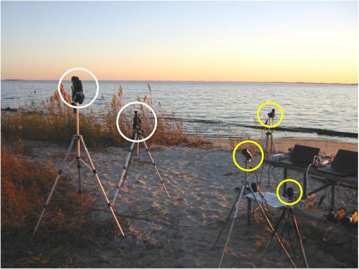 Observation Cite and Equipments