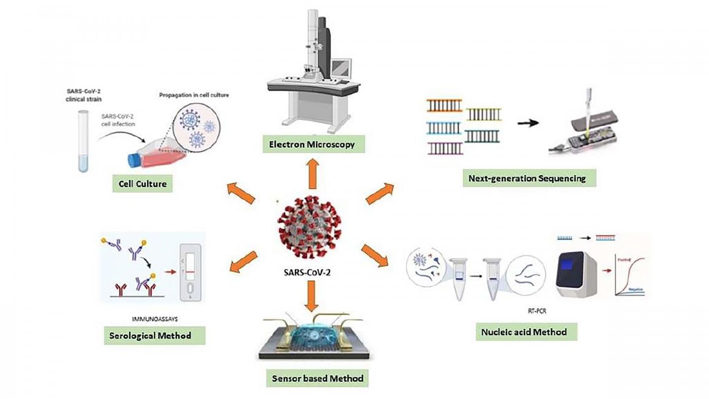 Various Diagnostic Techniques