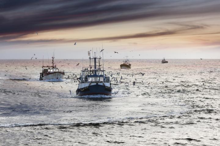 Fishing Vessels