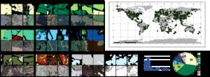 A large-scale annotated dataset for global land cover mapping