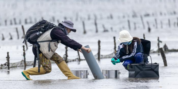 Hebo Peng and his colleague are sampling on the intertidal mudflats in Fangchenggang, China.