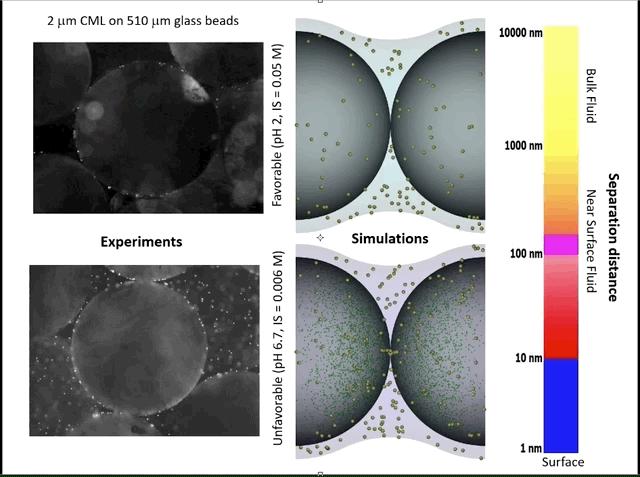 Experiments and Simulations of Favorable and Unfavorable Colloid Attachment