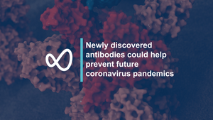 Newly discovered antibodies could help prevent future coronavirus pandemics
