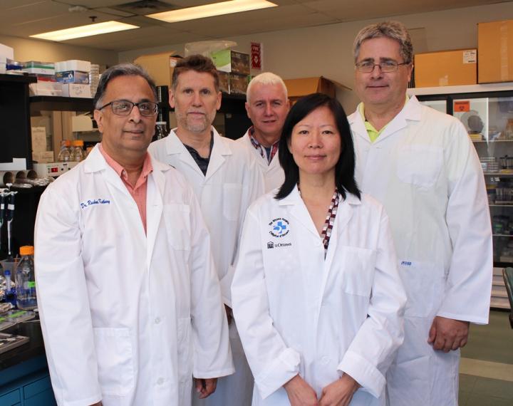 Running Triggers Production of a Molecule That Repairs the Brain in Animal Models