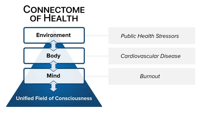 Connectome of Health