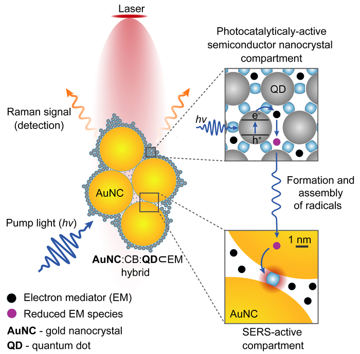 Nano ‘camera’ made using molecular glue allows real-time monitoring of chemical reactions