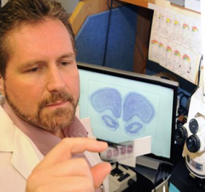 Dr. Alvin V. Terry Jr., 	Georgia Health Sciences University 