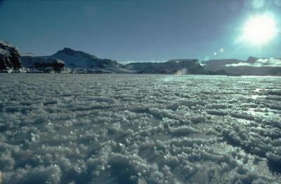 Halogens Hover Above Antarctic Ice 2 (of 3)