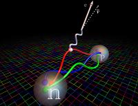 Mikroskopisches Universum gibt Einblick in Le | EurekAlert! image