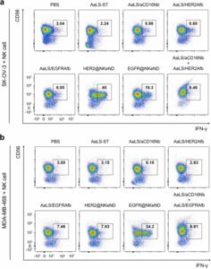 The activation of human NK cells in the presence of both target cancer cells and corresponding NKeNDs or other nanodrone variants using flow cytometry.